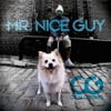 Mr. Nice Guy