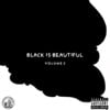 Black Is Beautiful, Vol. 2