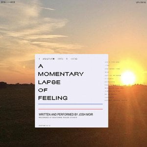 A Momentary Lapse of Feeling