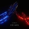 Veins