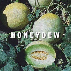 Honeydew