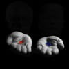 Blue Pill