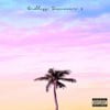 Endless Summer 4
