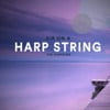 Air on a Harp String