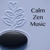 Calm Zen Music