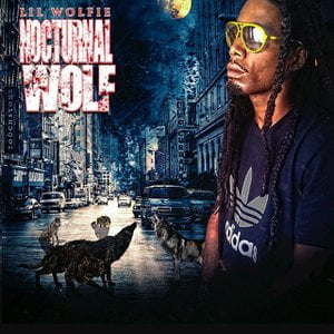 Nocturnal Wolf