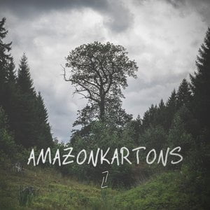 Amazonkartons