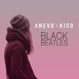 Black Beatles Lyrics By Anevo