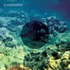 The Oceanographers