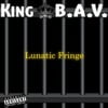 Lunatic Fringe