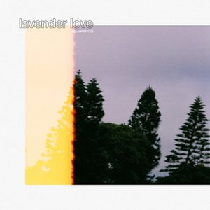 Lavender Love
