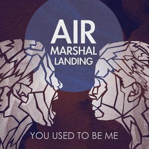 You Used to Be Me