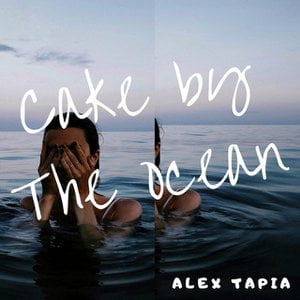 cake by the ocean lyrics