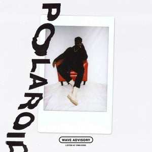 Polaroid