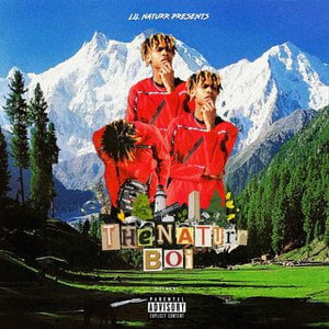 The Naturr Boi