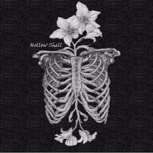 Hollow Shell