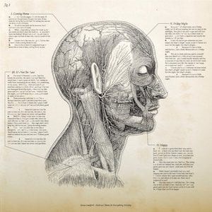 Flesh and Bone (& Everything Within) Side A