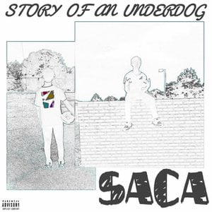 Story of an Underdog