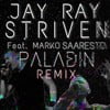 Striven (Remix)