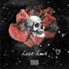 Lost Love