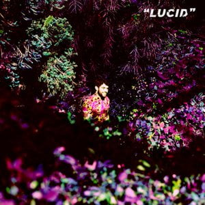 Lucid