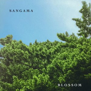 Blossom