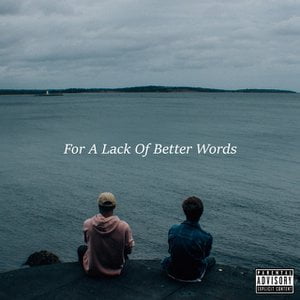 For a Lack of Better Words
