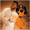 Vol Gang