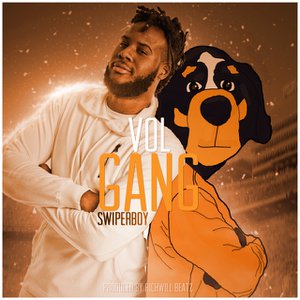 Vol Gang