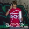 The Awakening