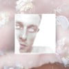 Venus Boy