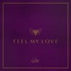 Feel My Love