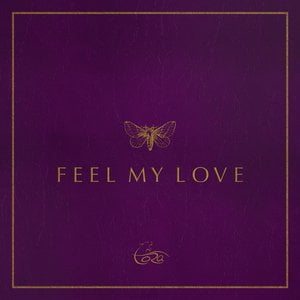 Feel My Love