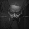 Diaspora 0.5