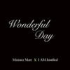 Wonderful Day