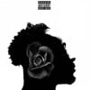Dark Side of the Rose