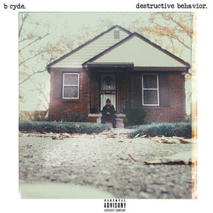 Destructive Behavior