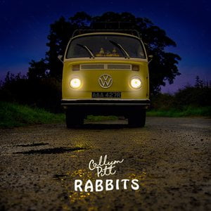 Rabbits