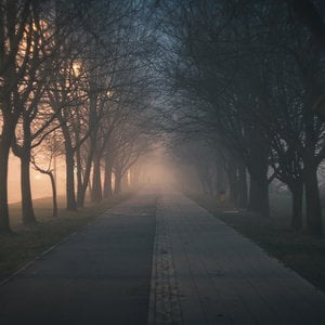 January 2019: Light Rain Compilation
