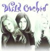 Wild Orchid