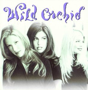 Wild Orchid