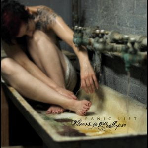 Witness to Our Collapse