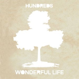 Wonderful Life
