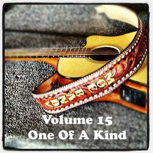 Volume 15 - One Of A Kind