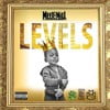 Levels