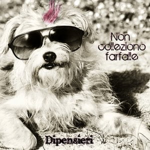 Non colleziono farfalle