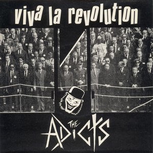 Viva La Revolution Lyrics By The Adicts