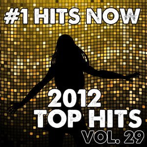 2012 Top Hits, Vol. 29