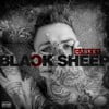 Black Sheep
