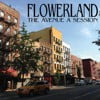 The Avenue A Session